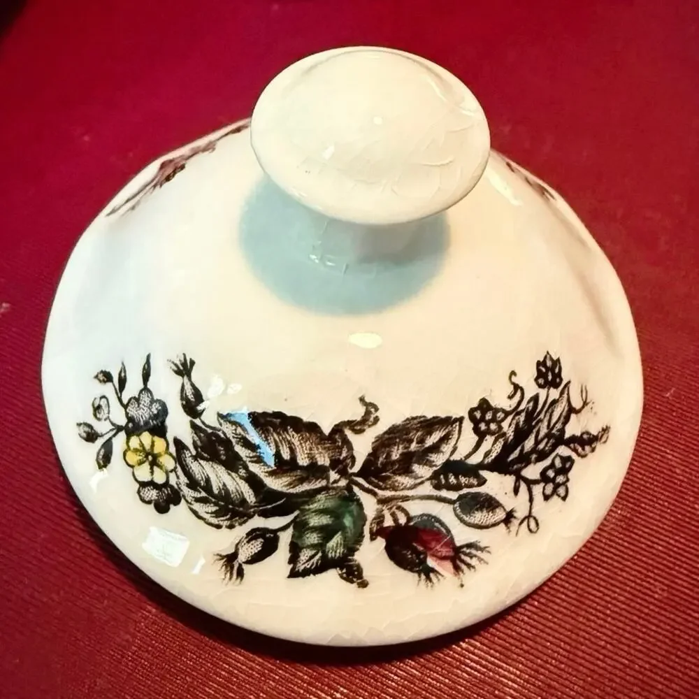 Yorkshire Staffordshire Ironstone Sugar & Creamer Set • England • Vintage